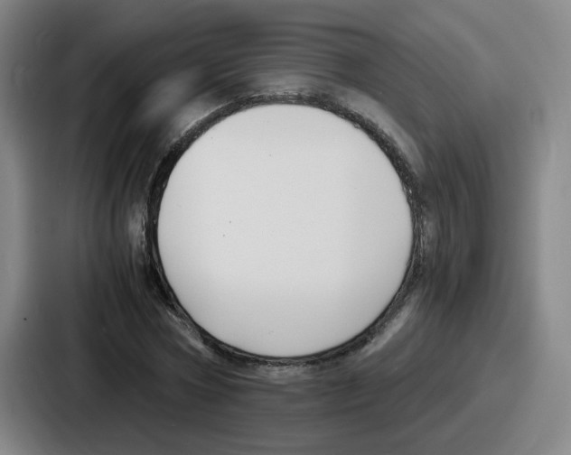 X0000086910778200705141701