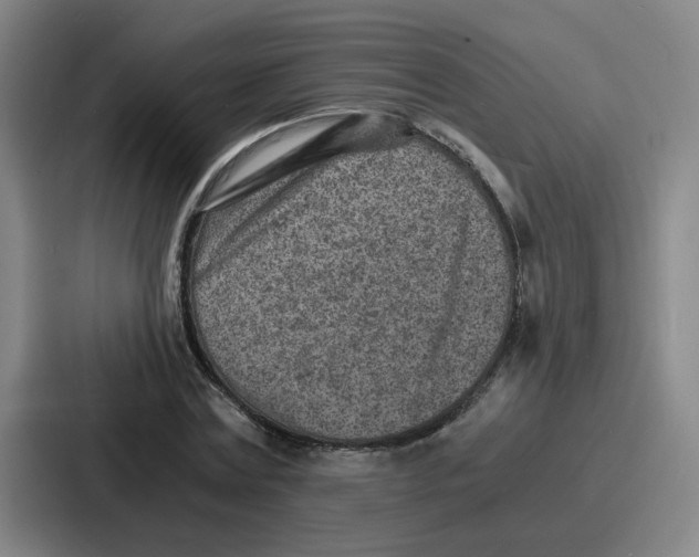 X0000086910779200705141701