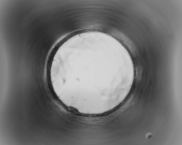 X0000086910780200705141701