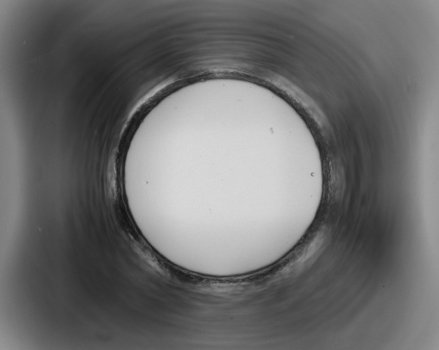 X0000086910782200705141701