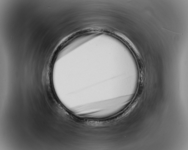 X0000086910783200705141701