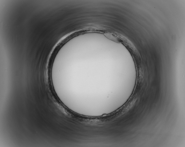 X0000086910784200705141701