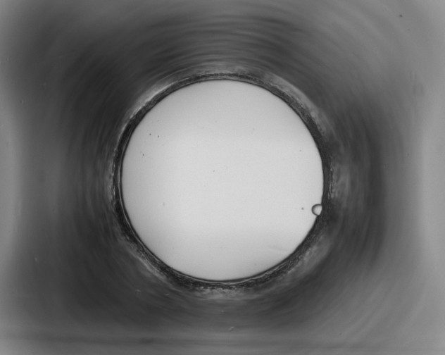 X0000086910786200705141701