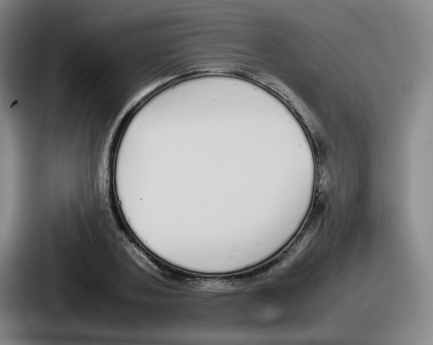 X0000086910787200705141701