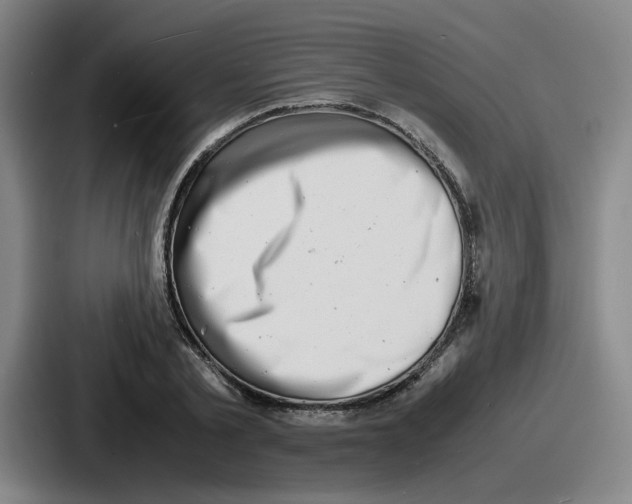 X0000086910789200705141701