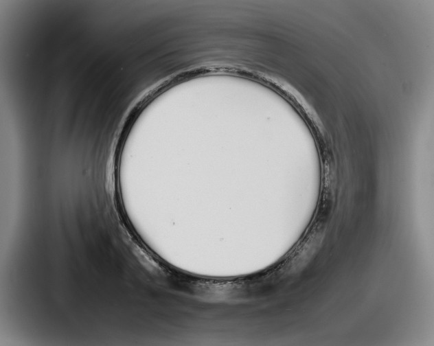 X0000086910791200705141701