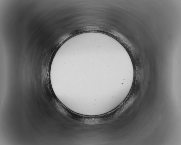 X0000086910793200705141701