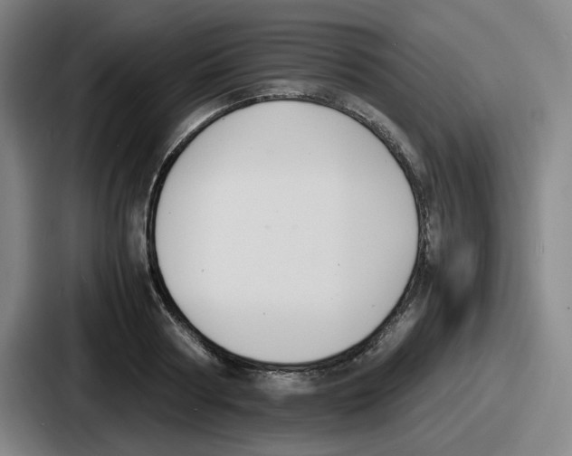 X0000086910794200705141701