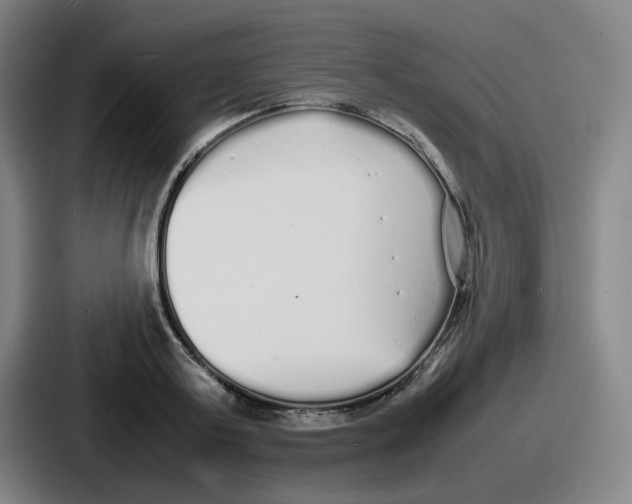 X0000086910795200705141701