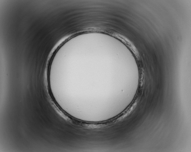 X0000086910796200705141701