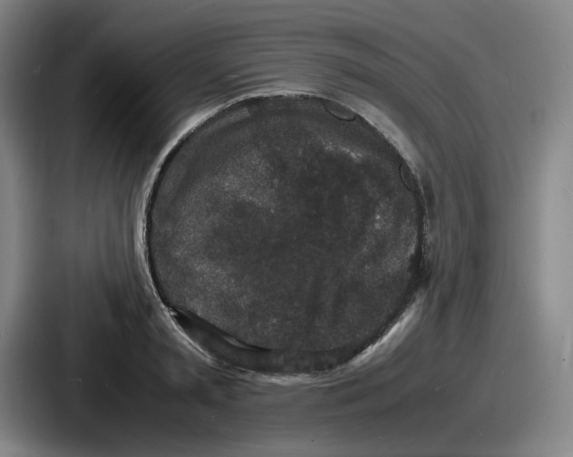 X0000086910797200705141701