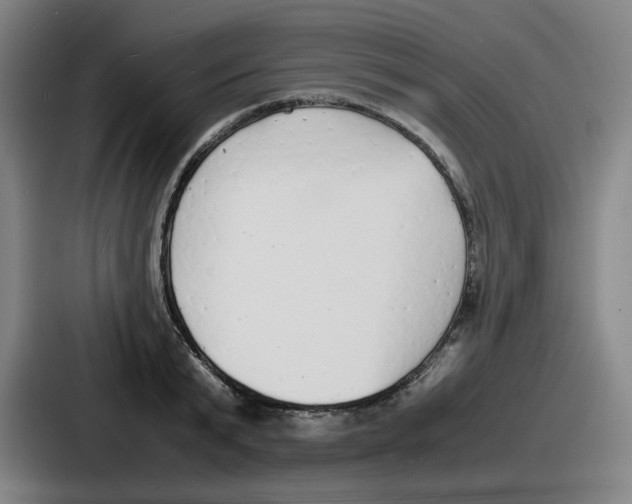 X0000086910799200705141701