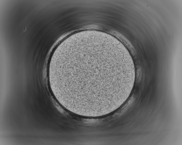 X0000086910800200705141701