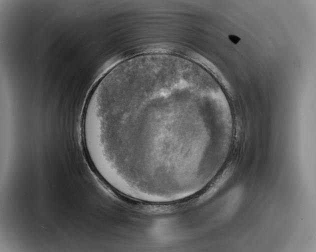 X0000086910802200705141701