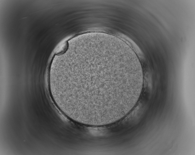 X0000086910804200705141701