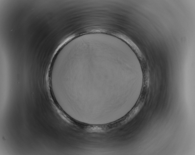 X0000086910806200705141701