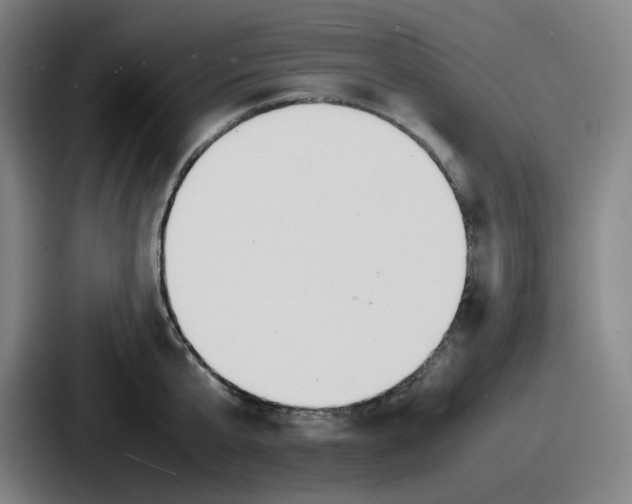 X0000086910807200705141701