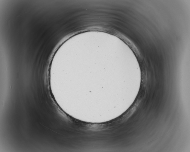 X0000086910808200705141701