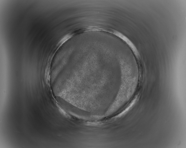 X0000086910809200705141701