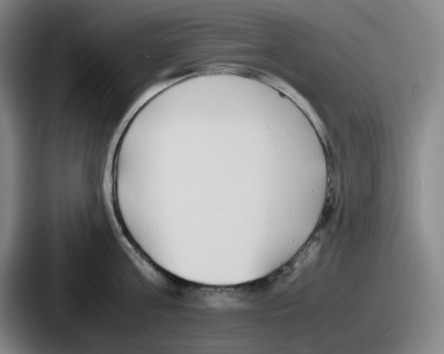 X0000086910811200705141701