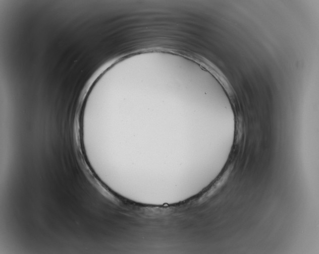 X0000086910812200705141701