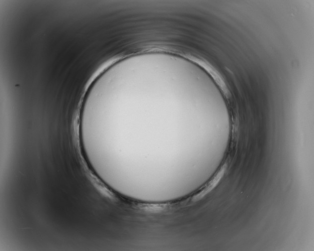 X0000086910814200705141701