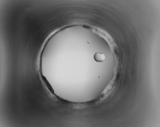 X0000086910815200705141701