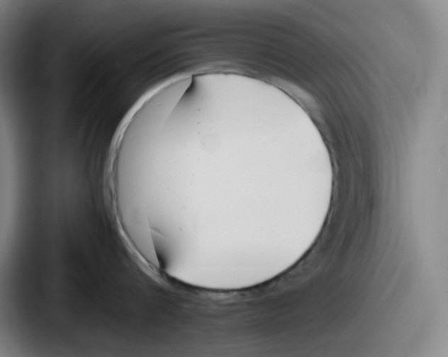 X0000086910816200705141701