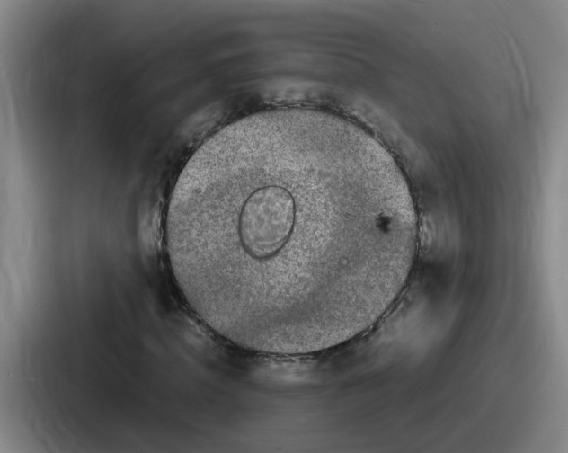 X0000086910820200705141700