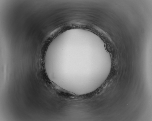 X0000086910822200705141700