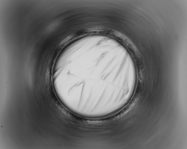 X0000086910825200705141700