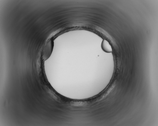 X0000086910826200705141700