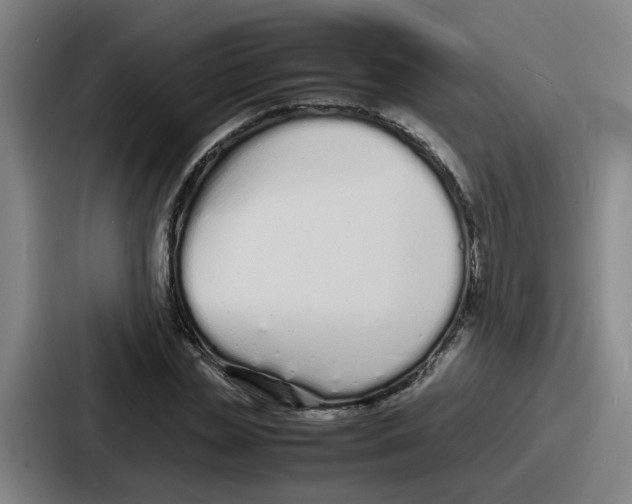 X0000086910829200705141701