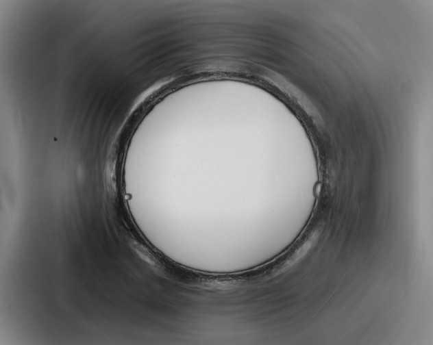 X0000086910830200705141701