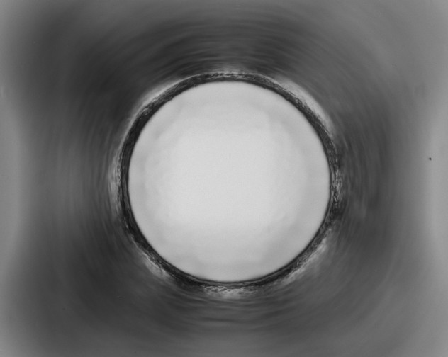 X0000086910831200705141701