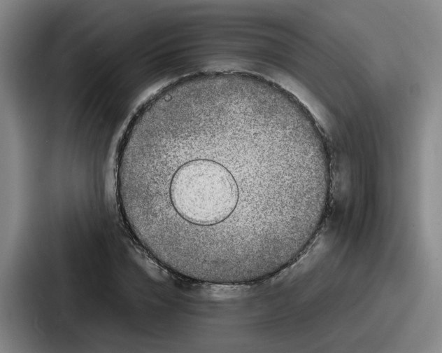 X0000086910832200705141701