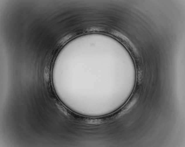 X0000086910833200705141701