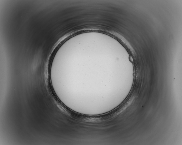 X0000086910837200705141701