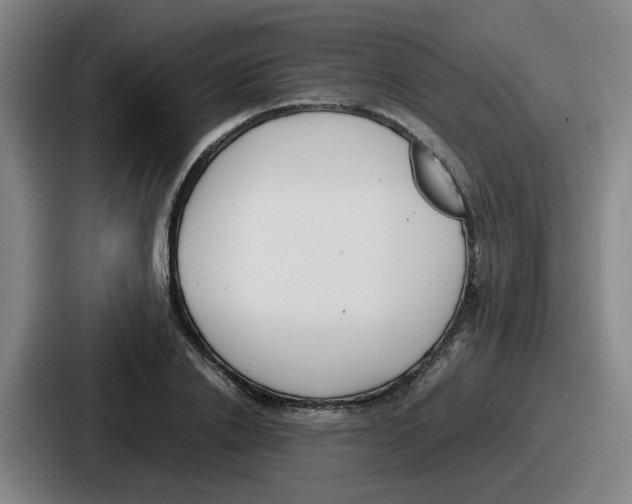 X0000086910838200705141701