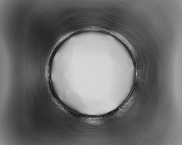 X0000086910839200705141701