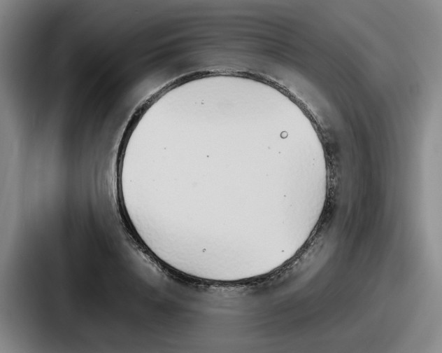 X0000086910840200705141701