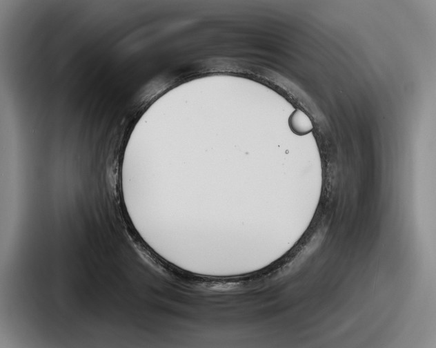 X0000086910841200705141701