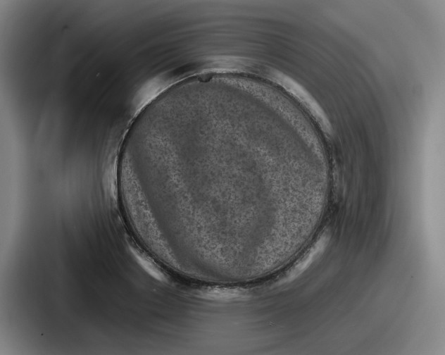 X0000086910842200705141701