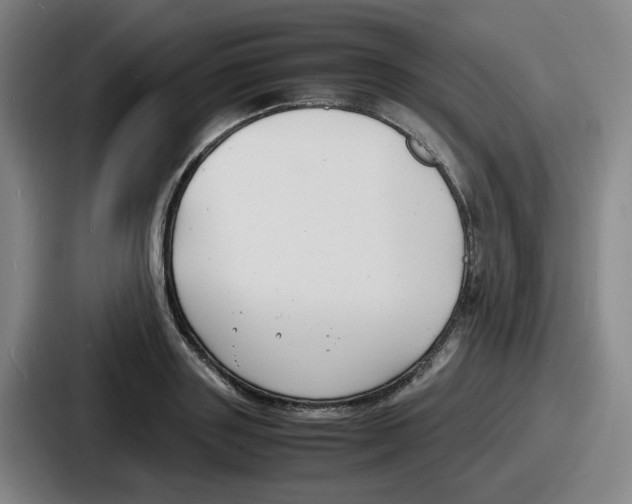 X0000086910843200705141701