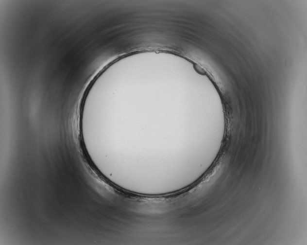 X0000086910844200705141701