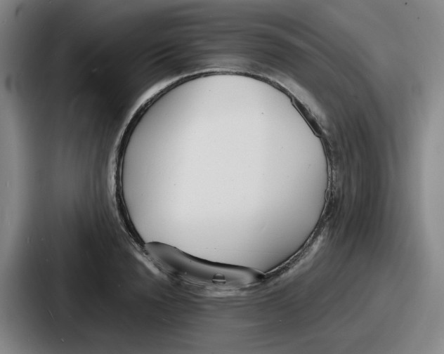 X0000086910846200705141701