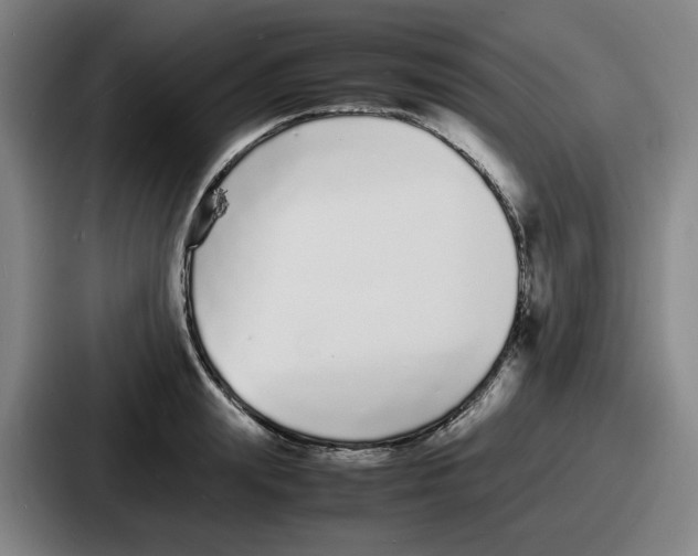 X0000086910847200705141701