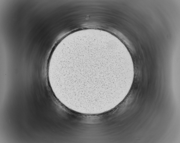 X0000086910848200705141701