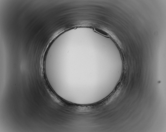 X0000086910850200705141701