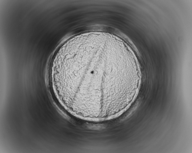 X0000086910851200705141701